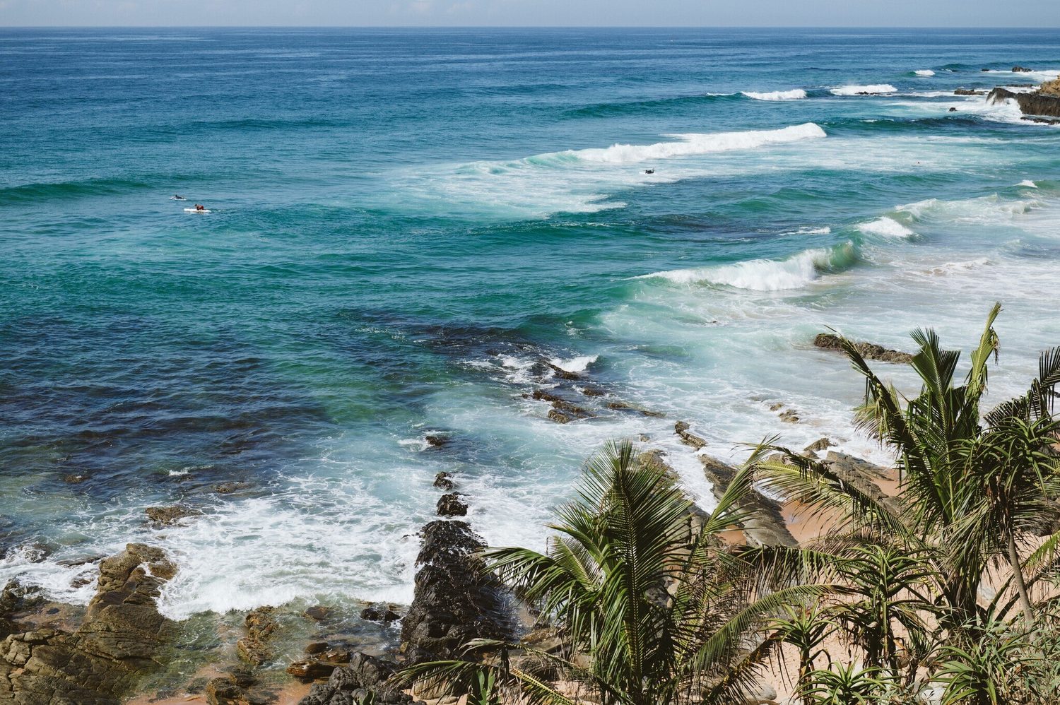 Surf breaking along the KwaZulu-Natal north coast, with palms on the shoreline